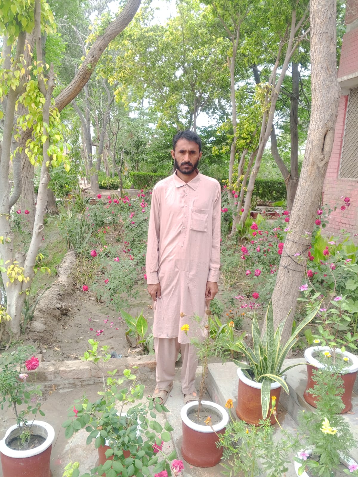 Muhammad Sajid